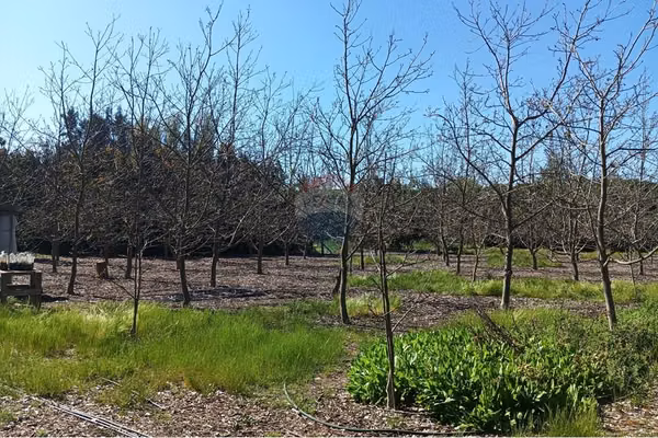Parcela en maria pinto