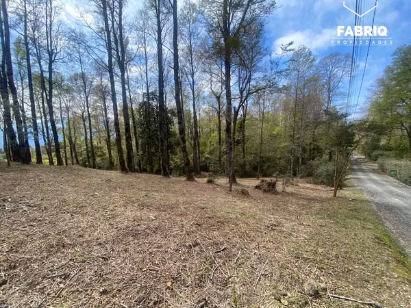 EXCELENTE TERRENO EN SECTOR CANDELARIA 5000M2