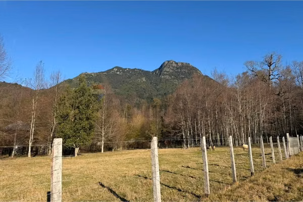 Parcela de 5.000 m² a pocos minutos del centro.
