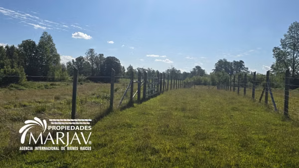 VENTA PARCELA 5.000 M2, 10 MINUTOS DE VILLARRICA