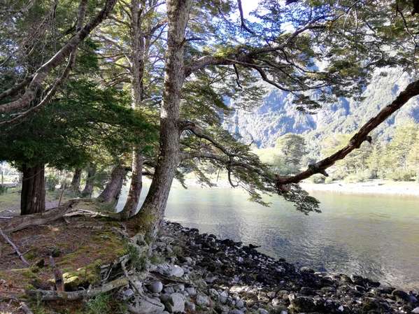 Río Cisnes – La Magia 1,27 ha orilla río