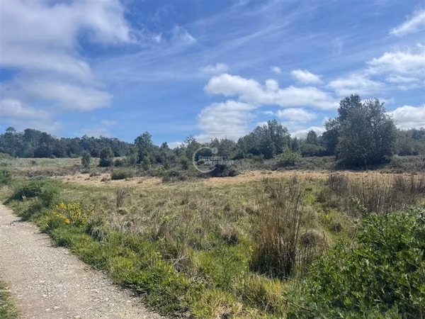 Sitio en venta Nueva Braunau en Puerto Varas