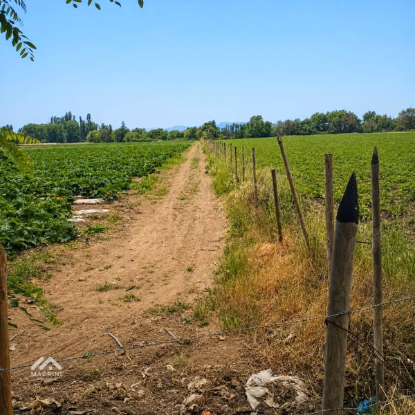 Atención Inversionistas: se vende terreno orilla camino pavimentado
