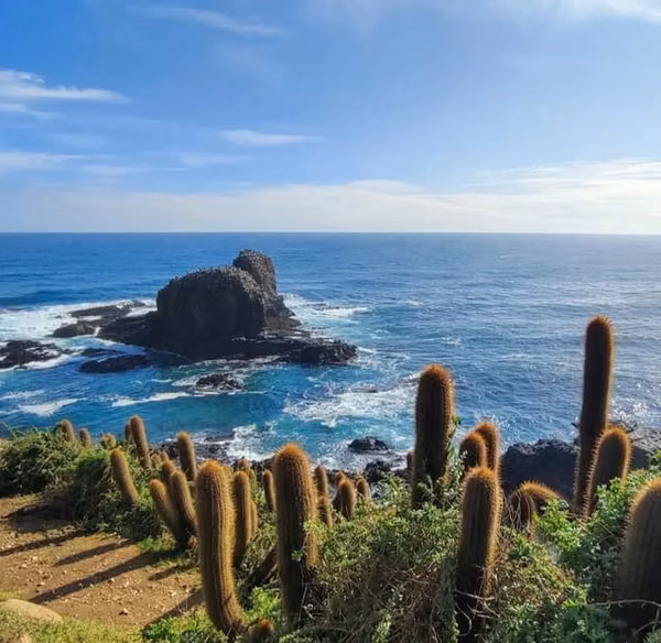 Parcelas 15 minutos de Pichilemu, urbanizadas