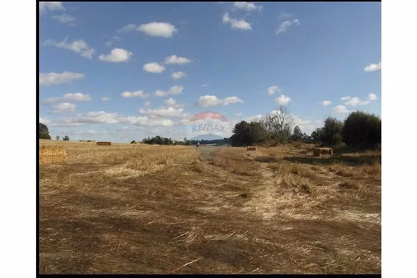 Terreno 4,8 ha en temuco ¡ideal para un proyecto!