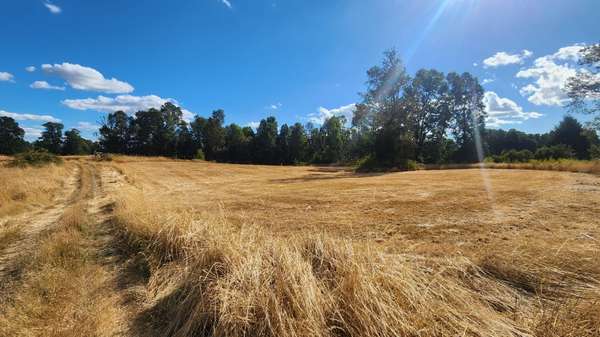 ¡Gran Oportunidad! Parcela en Gorbea 5000m²