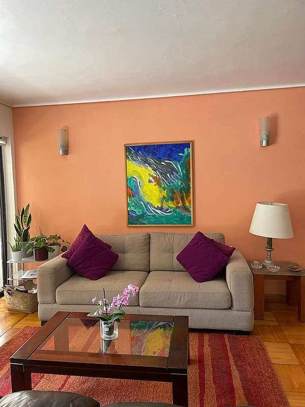VENDO DEPARTAMENTO EN PROVIDENCIA, CALLE LUIS THAYER