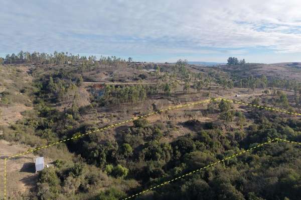 Terreno 1 ha entre litueche y rapel