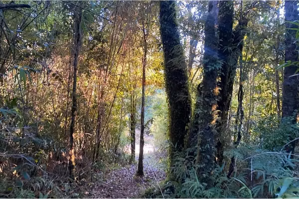 Venta de hermorsa parcela en calfuco