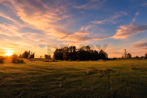 Campo 5,7 ha en paillaco | ruta 5 sur