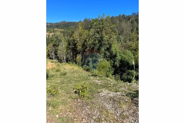 Parcela de agrado santo domingo valdivia