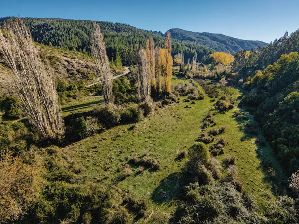 Hermoso Campo Con Bosque Nativo Y Vertientes - 12 Hectáreas
