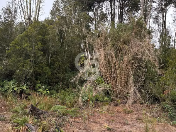Parcela en Condominio Cerrado con Plusvalía y Servicios