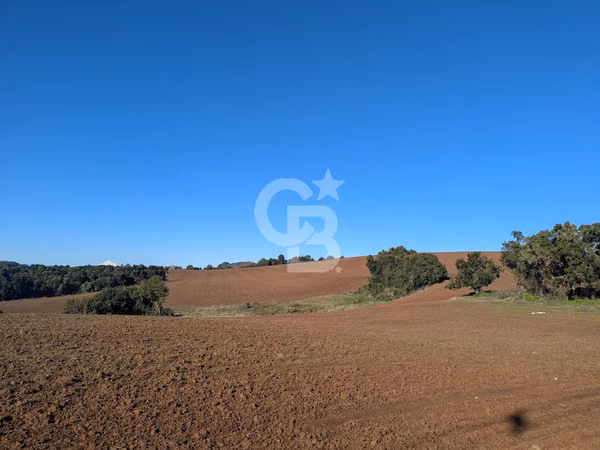 Maravilloso Campo para Inversión