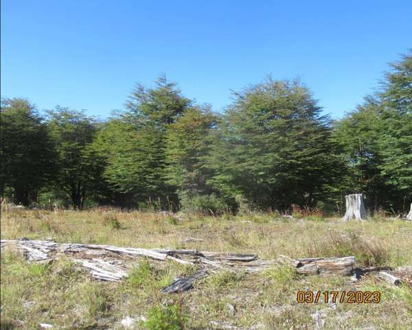 Lago Castor parcela 5000m2