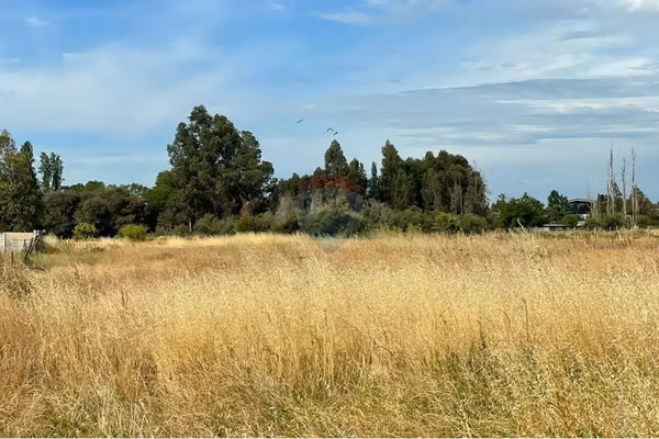Vendo parcela villa alegre sector cerrillos