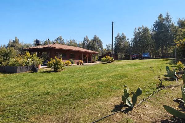 Campo Con Excelente Casa Y Bosque Eucalipto - Cercano Yumbel