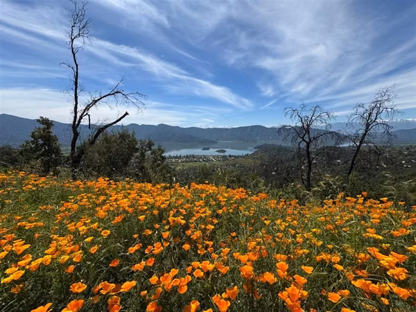 PARCELA CON MARAVILLOSA VISTA LAGUNA ACULEO EN CONDOMINIO