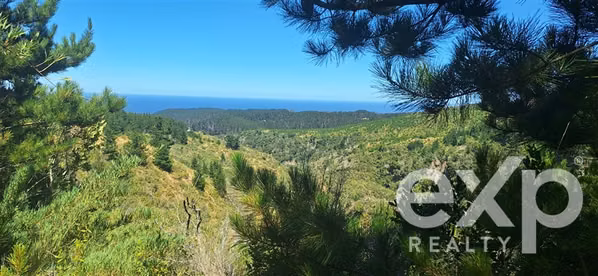 Vende Terreno 5000m2 vista al mar en Pichilemu
