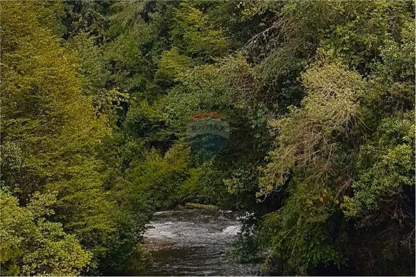 Invierte en el paraíso: terreno en aysén, chile
