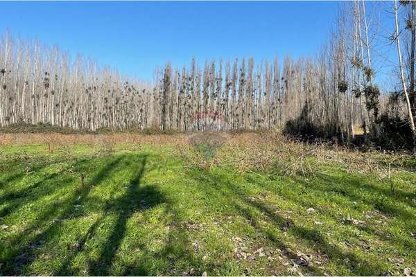 “venta de terreno agrícola – coltauco » vi región.