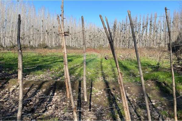 “venta de terreno agrícola – coltauco » vi región.