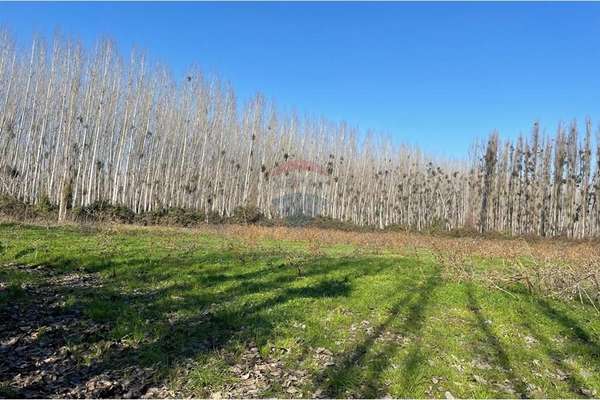 “venta de terreno agrícola – coltauco » vi región.