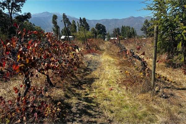 Terreno agrícola de alto potencial en venta