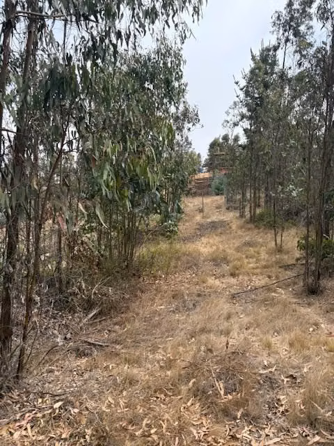 Terreno de 10.800 m en El Tabo
