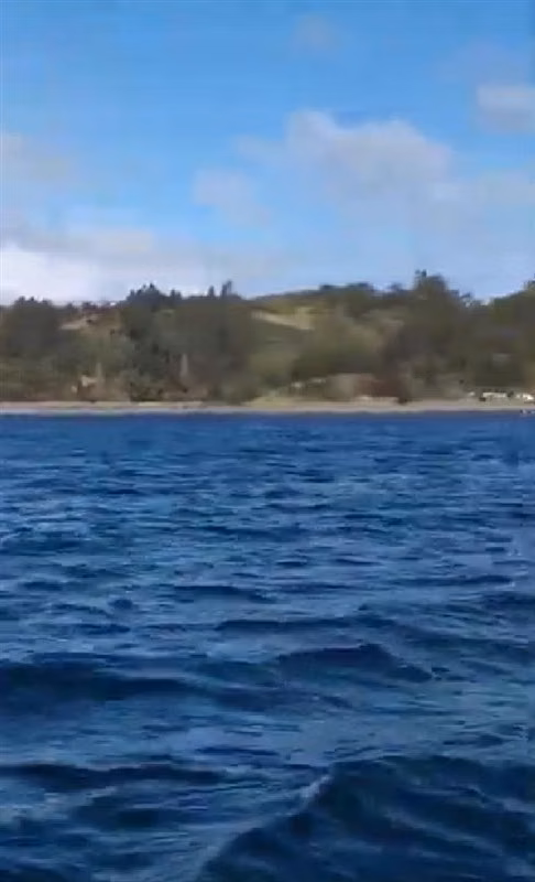 Terreno de 3,97 Hectáreas en Llingua, Chiloé