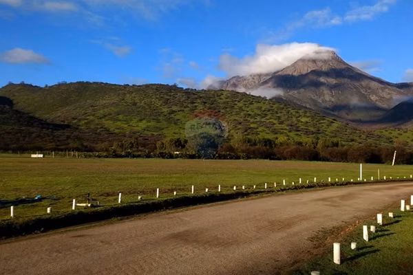 Parcela - oasis de la campana, 5.131 m²