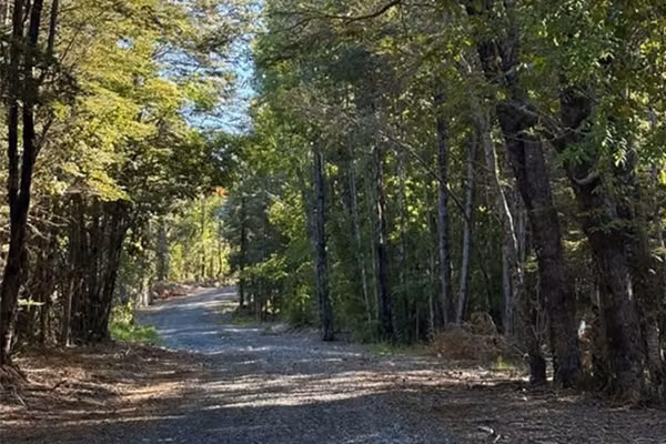 Parcela en venta - condominio bosque pucón