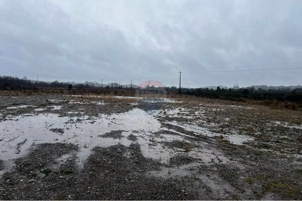 "parcela ideal en trapén: 5000 m² de serenidad"