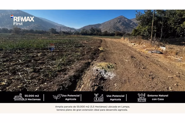 Terreno agrícola 55.000 m² en lampa con casa