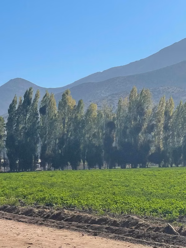 SE VENDE PARCELA  EN MARQUEZA, LOTEO ALAMOS DE MARQUEZA.