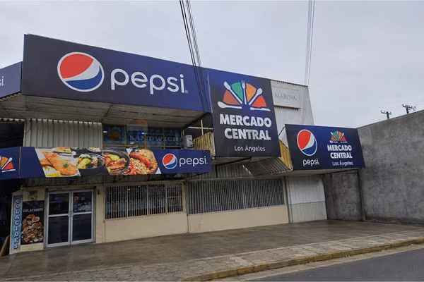 "inversión comercial en plena calle villagrán"