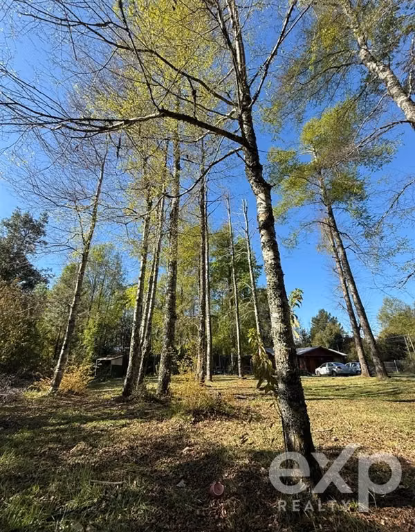 Sitio en venta en Villarrica