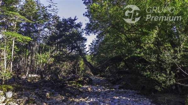 Vive donde la naturaleza es protagonista Venta en Lago Verde