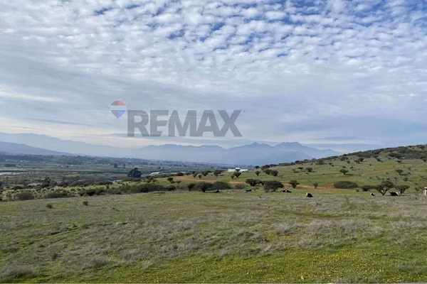 Oportunidad: 5.000 m² planos en limache