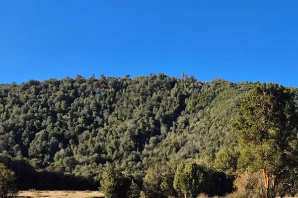 Espectacular oportunidad!! terreno 8 ha dalcahue