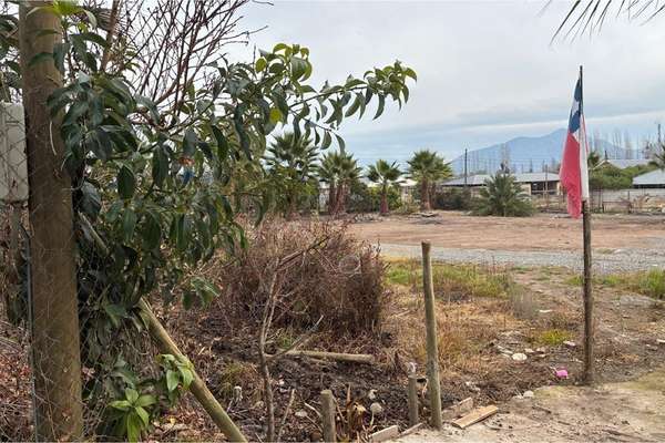 "parcela en venta san vicente t.t."