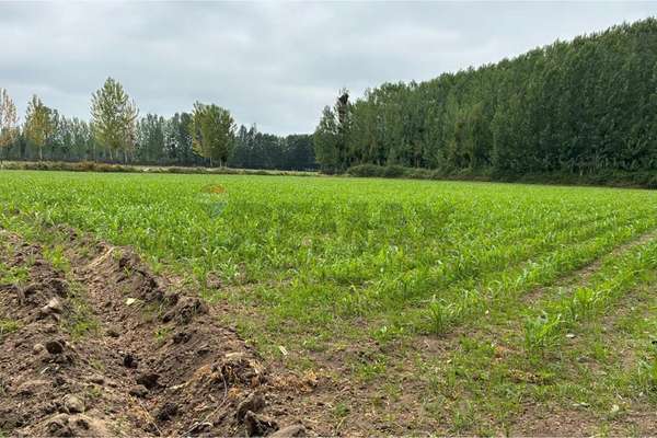 Venta terreno agrícola