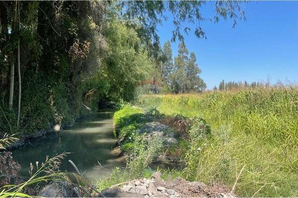 "venta terreno agrícola, san vicente tt"