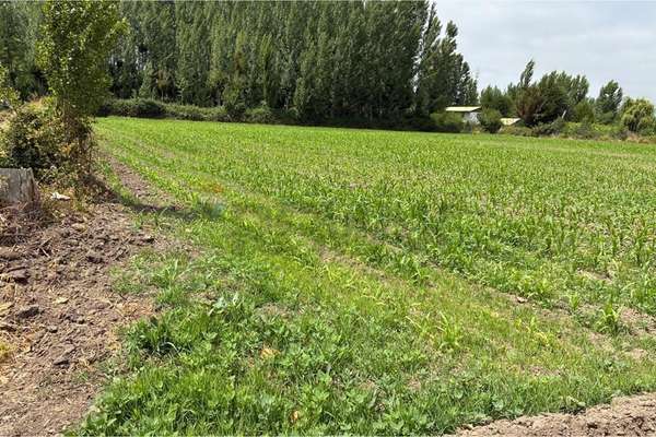 Venta terreno agrícola
