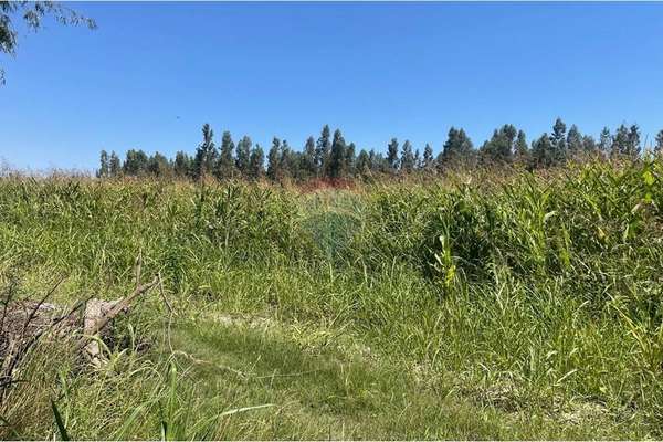 Venta terreno agrícola, san vicente tt