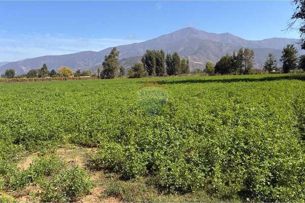 ¡terreno agrícola en venta en coltauco!