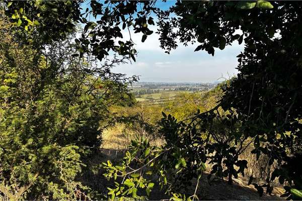 Parcela en venta, cerro cristal curicó