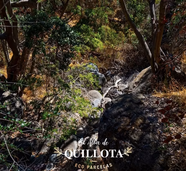 EL ALBA DE QUILLOTA  VIVE LA NATURALEZA CONSTRUYE TU FUTURO