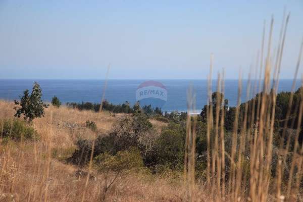 Terreno exclusivo a minutos punta lobos
