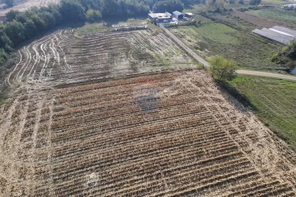 Terreno agrícola 2,5 ha con casa